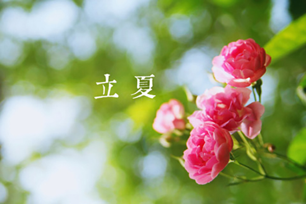88爱彩涂装|立夏,万物向阳,且共成长