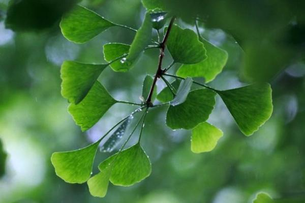 整套喷塑流水线设备厂